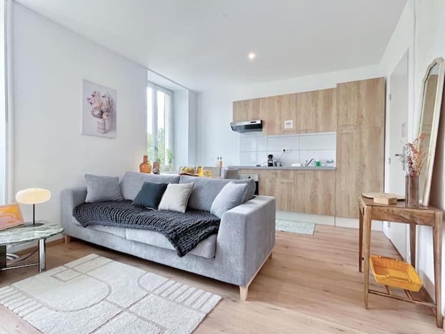 1 Appartement 3P Ideal Famille Travail Renove Lumineux Parking Gratuit Мюлуз Екстер'єр фото