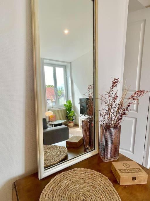 1 Appartement 3P Ideal Famille Travail Renove Lumineux Parking Gratuit Мюлуз Екстер'єр фото